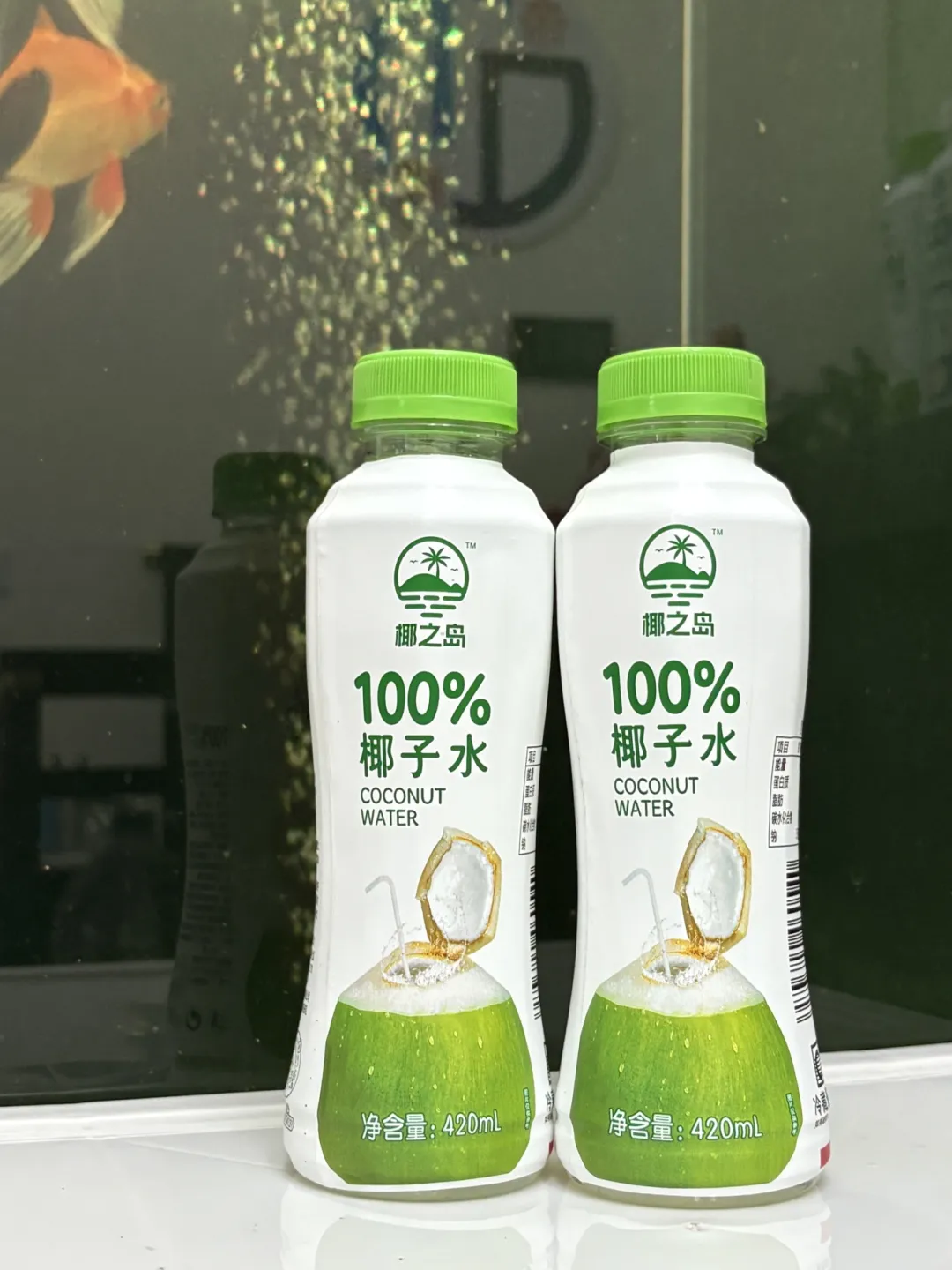 当餐饮食,有新品!当餐重点推荐(饮品类)餐饮食品代理网