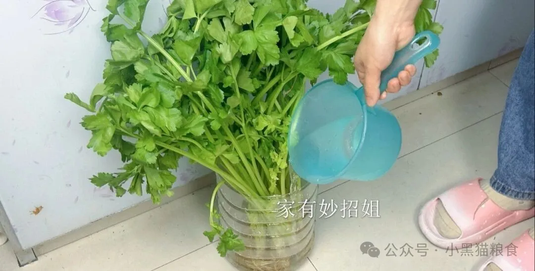 蔬菜水果的保鲜小妙招