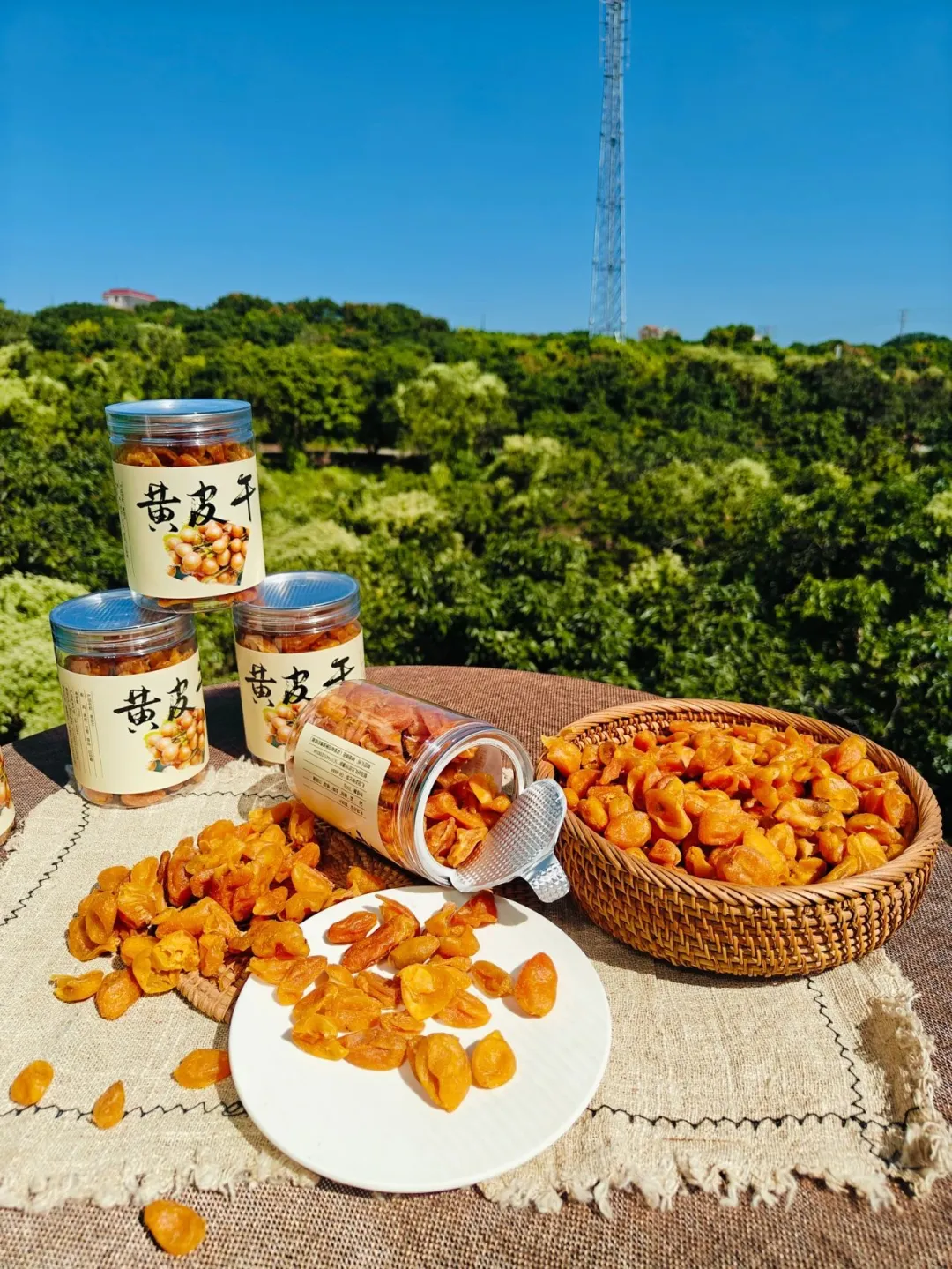 广东特产黄皮干,老广的护嗓宝