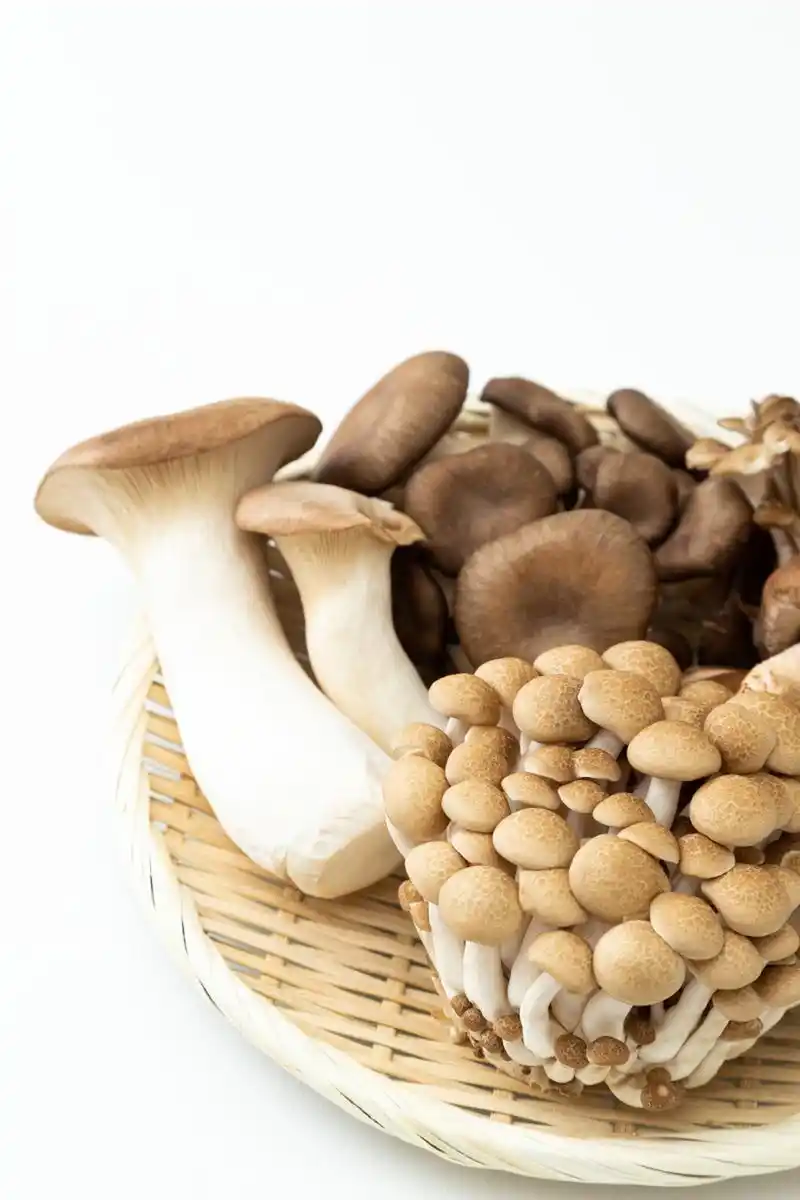 秋令蔬菜上市!十大当季蔬菜!营养健康!