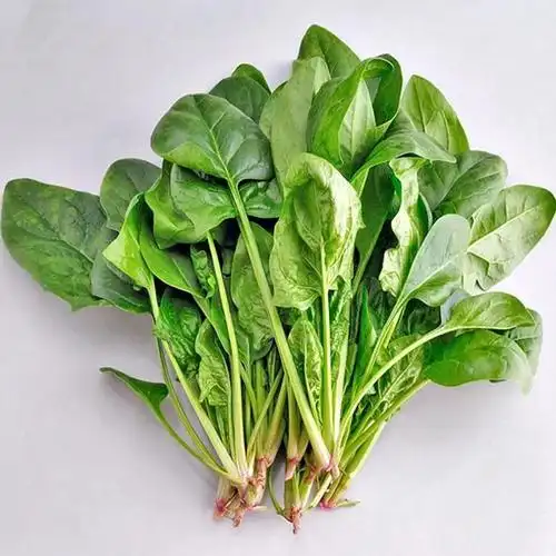 秋令蔬菜上市!十大当季蔬菜!营养健康!