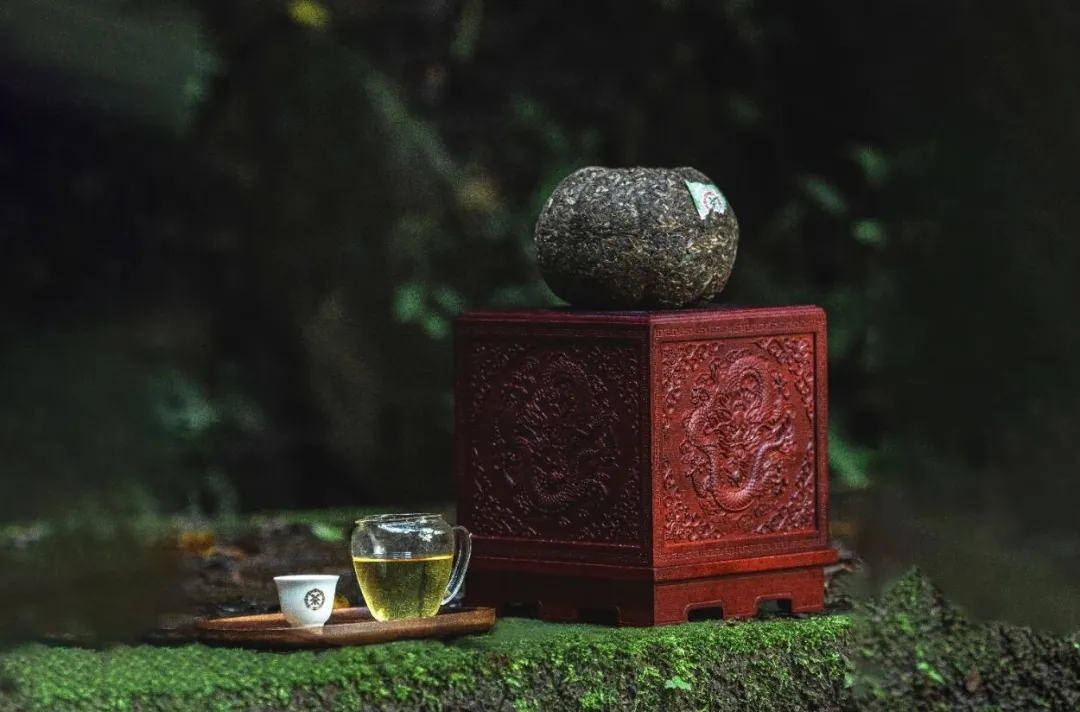 新品上市!中茶九龙贡茶 普洱茶(生茶)紧压茶