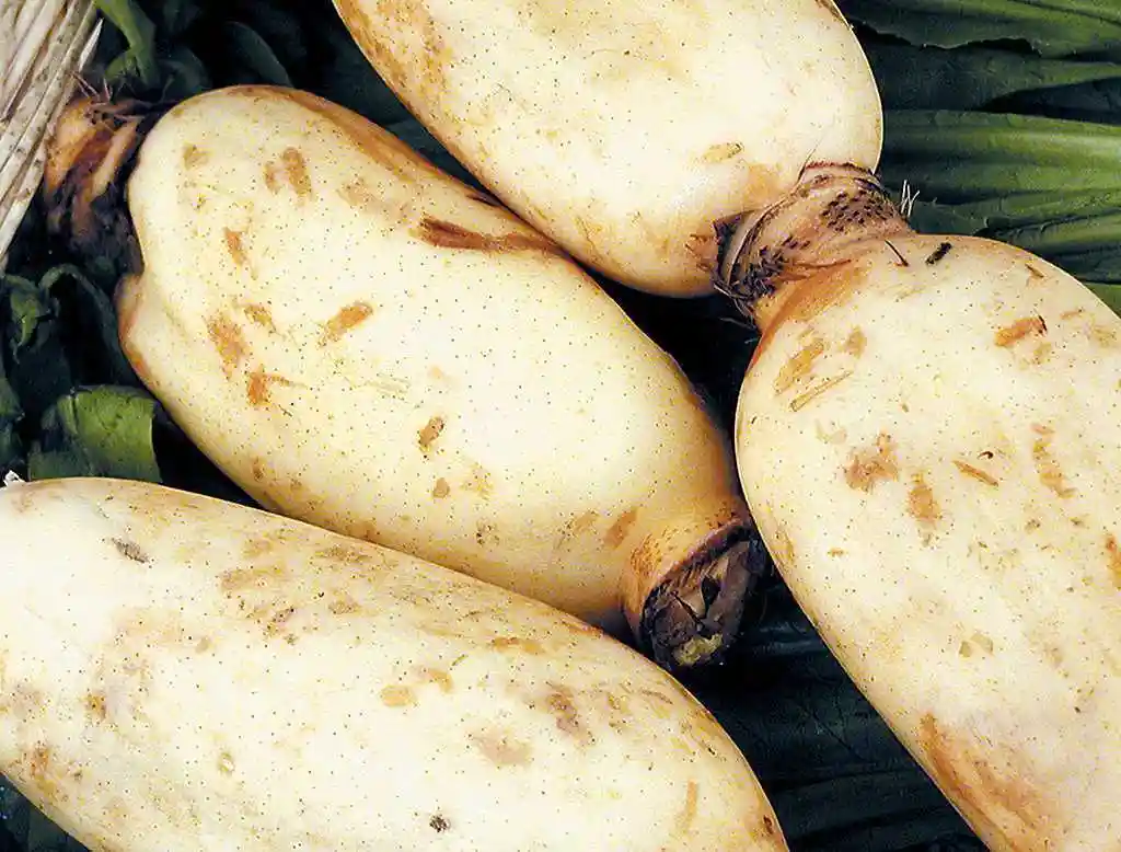 秋令蔬菜上市!十大当季蔬菜!营养健康!