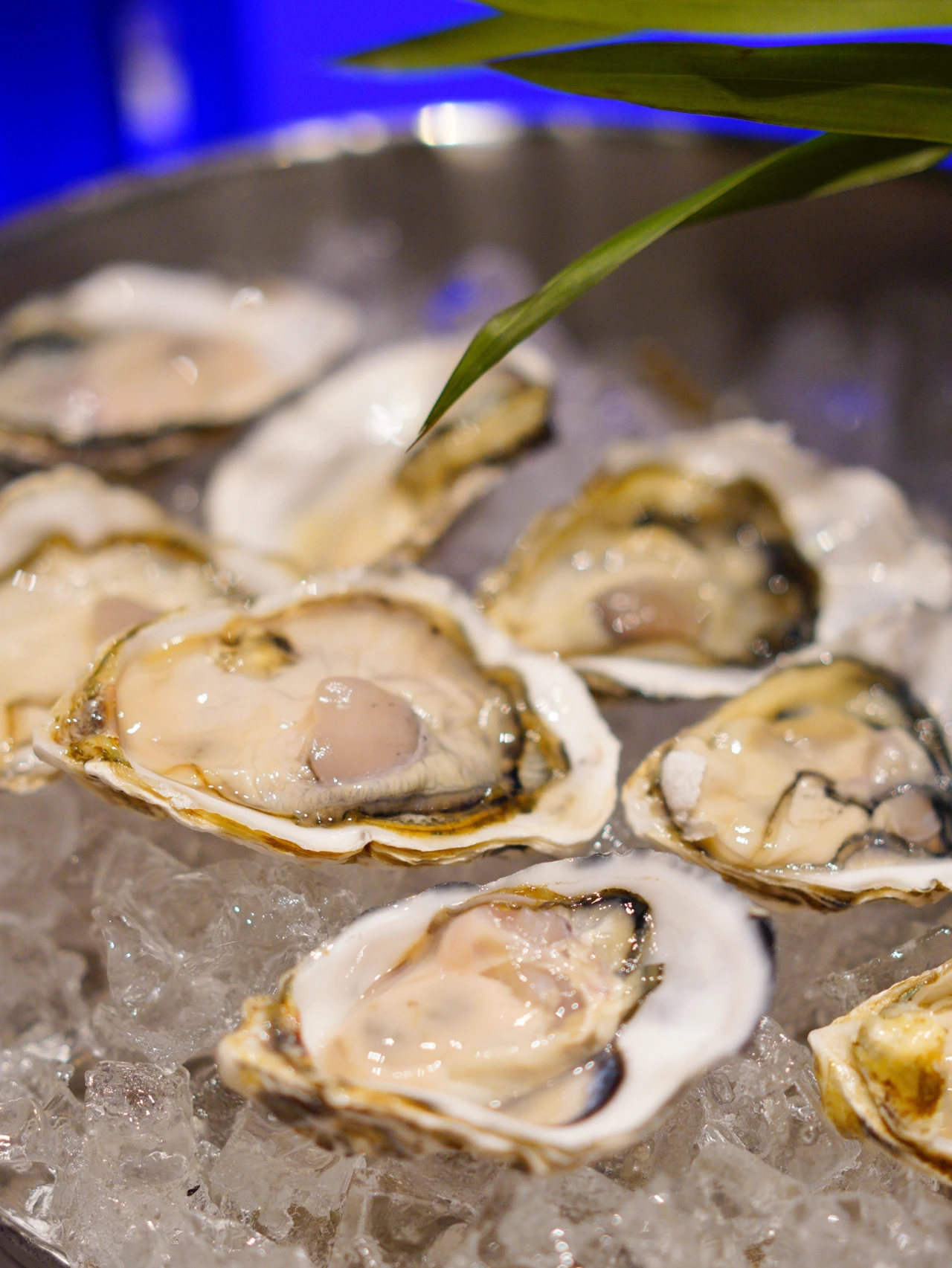 餐饮信息网2025年11月1日广东地区餐饮招聘信息