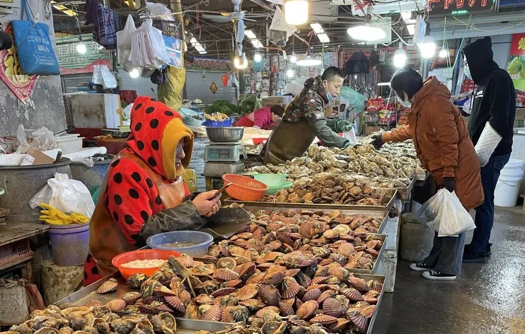 烟台这种海鲜食材大量上市,10元五斤!立马安排上桌…