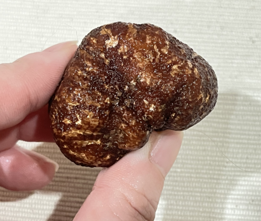 山珍王者的天花板吃法,你试过吗?黑松露×松茸,云南空运,极致体验