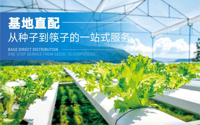 餐饮供应链聊哪些蔬菜水果农药残留风险最高