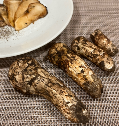 山珍王者的天花板吃法,你试过吗?黑松露×松茸,云南空运,极致体验