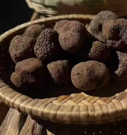 山珍王者的天花板吃法,你试过吗?黑松露×松茸,云南空运,极致体验