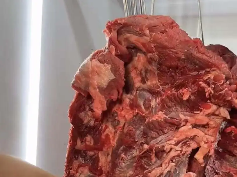 深圳宝安美食探店扶墙进扶墙出的烤肉盛宴,给你扒到啦!