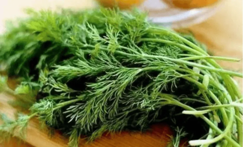 寒冬三宝食材曝光,白萝卜山药茴香菜