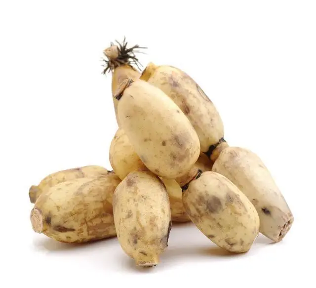 禧来邻超市11月24日特惠商品限时折扣