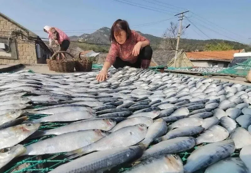 即墨这种特色美食又来了很多人爱吃……