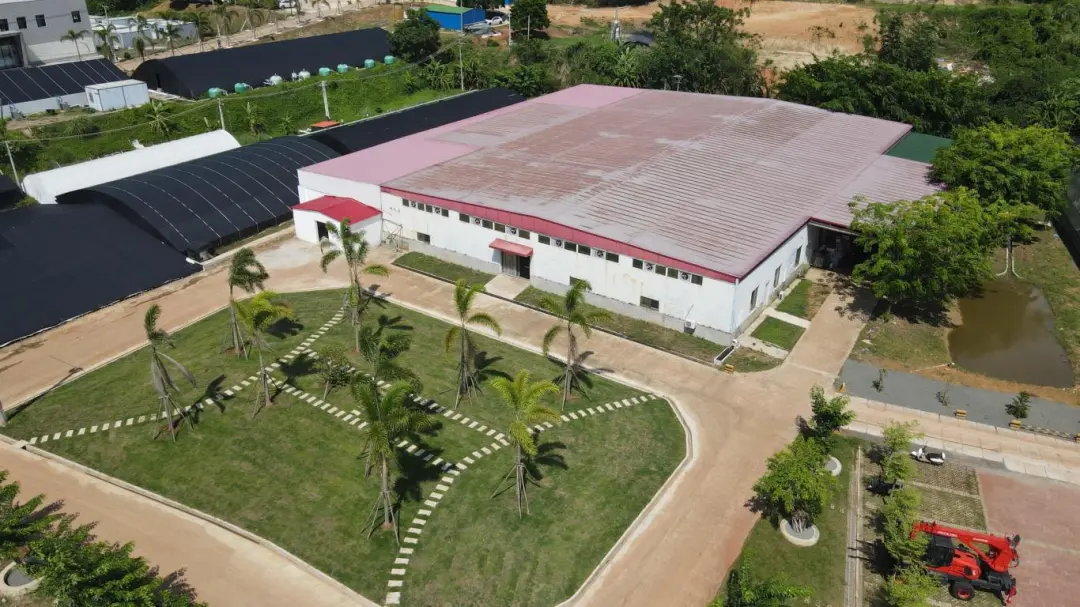 罗非鱼全球领先苗企！宝路水产寻找基地