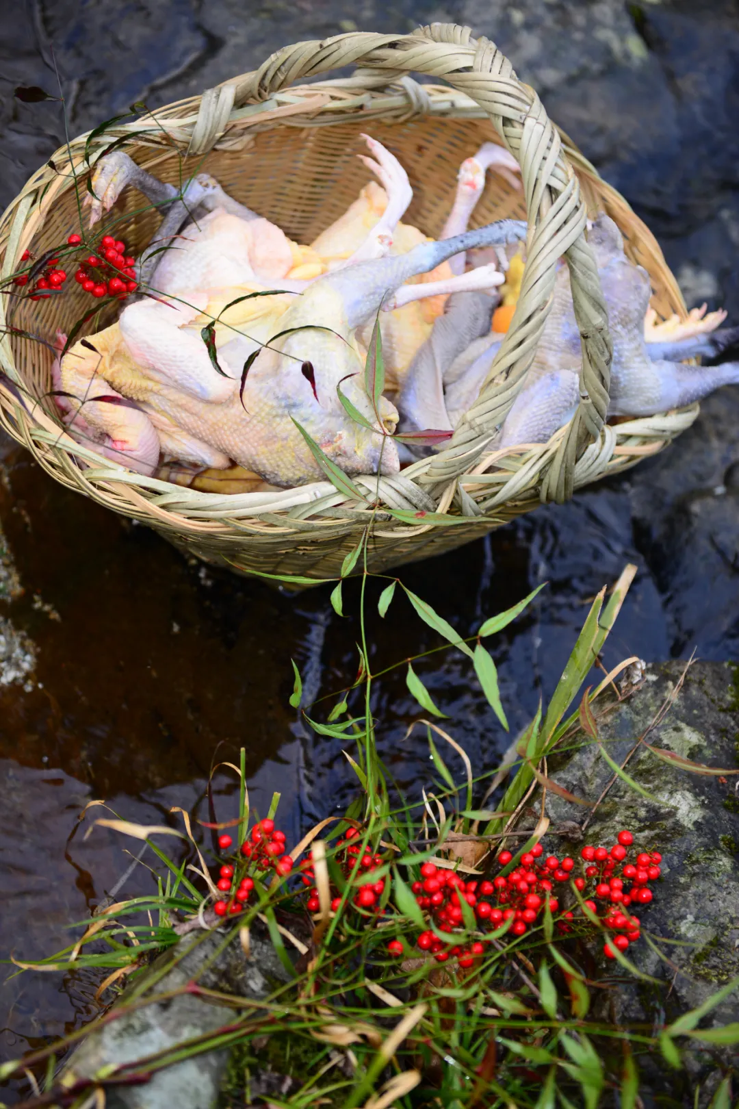 当餐美食炖鸡汤!真正的鸡汤~教你煲出美味的鸡汤