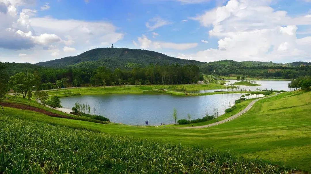 云浮特色美食打卡攻略!当餐宝藏“逛吃路线”来了