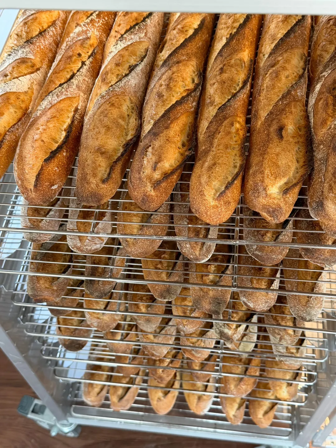 餐饮烘焙行业的风向确实在悄然转舵