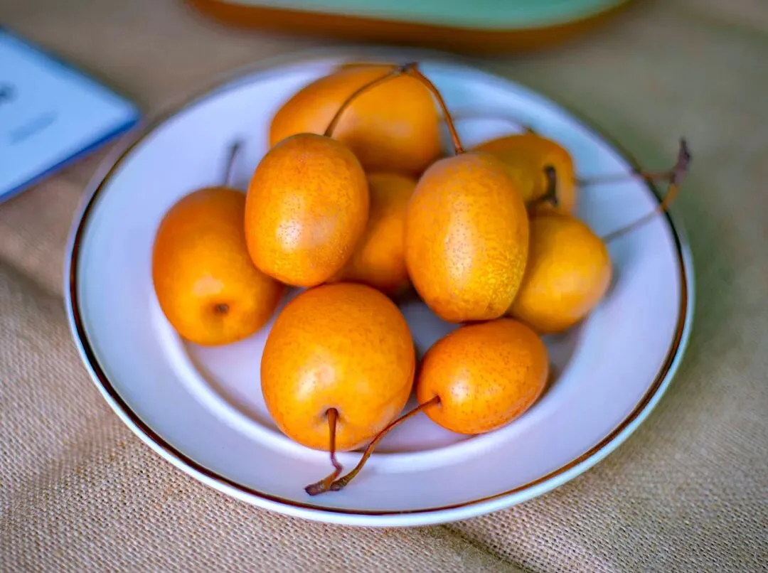 金珠沙梨集多种野果风味于一体,鲜吃酸甜适宜,蒸煮软糯可口!