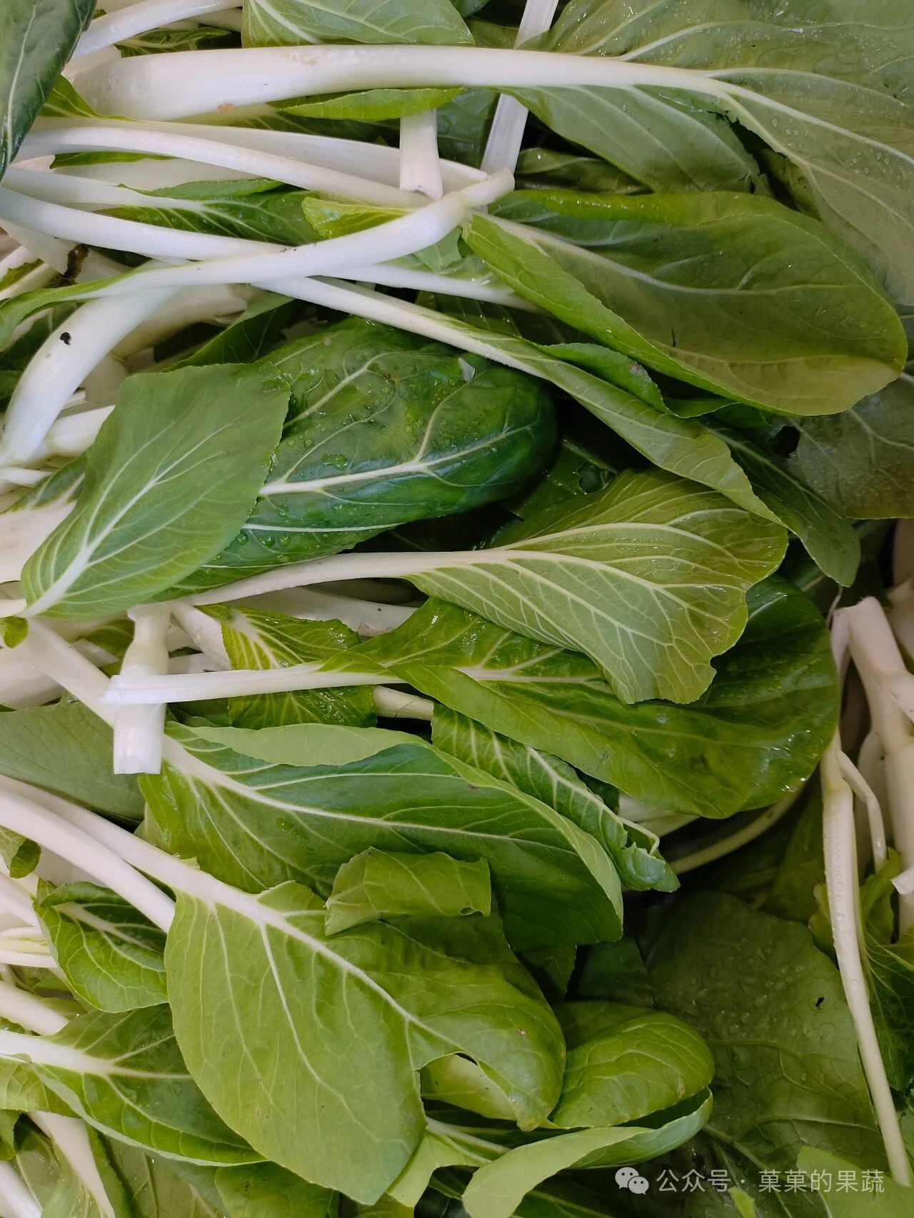 有机农场本周批发菜单