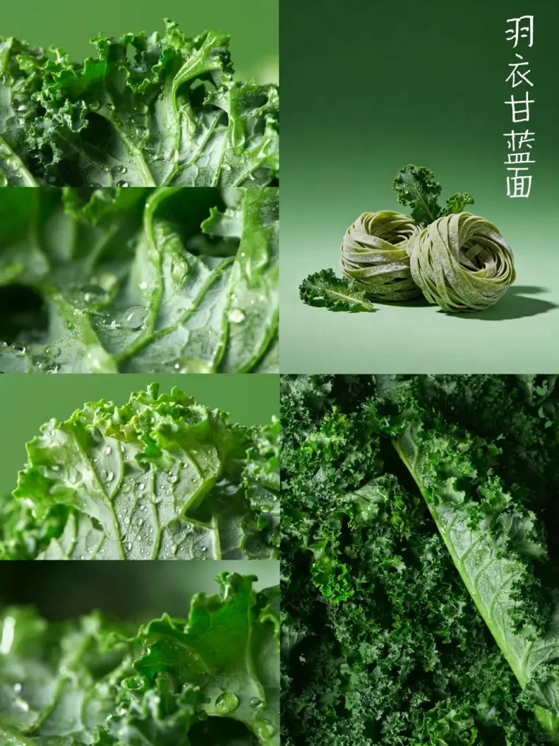 羽衣甘蓝掀起食材革新!当餐冷鲜面双剑合璧抢占B端市场先机