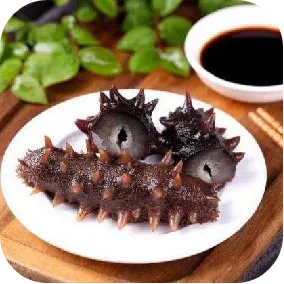 龙宝参茸鲜食海参新品上市，2小时锁鲜+3分钟即食，解锁滋补新姿势！