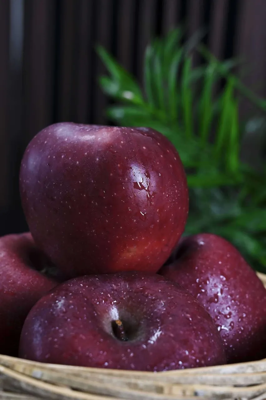 昭通黑卡苹果,香甜爽脆,满口都是醇厚香甜的苹果香气