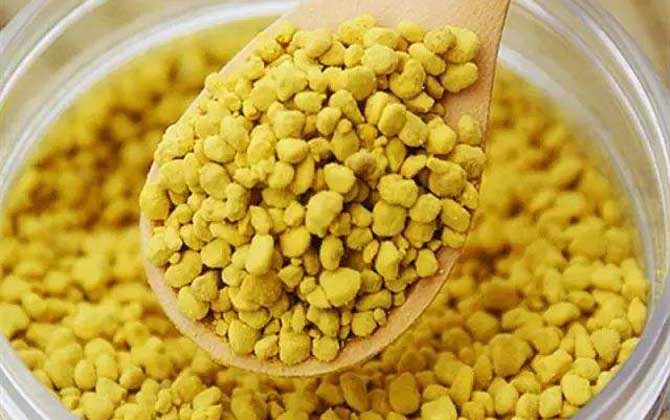 药食同源之蜂花粉