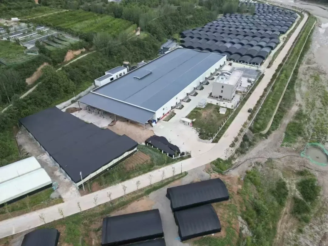 秦岭深处的有机食材之两当县“全域有机”发展的破局与前景