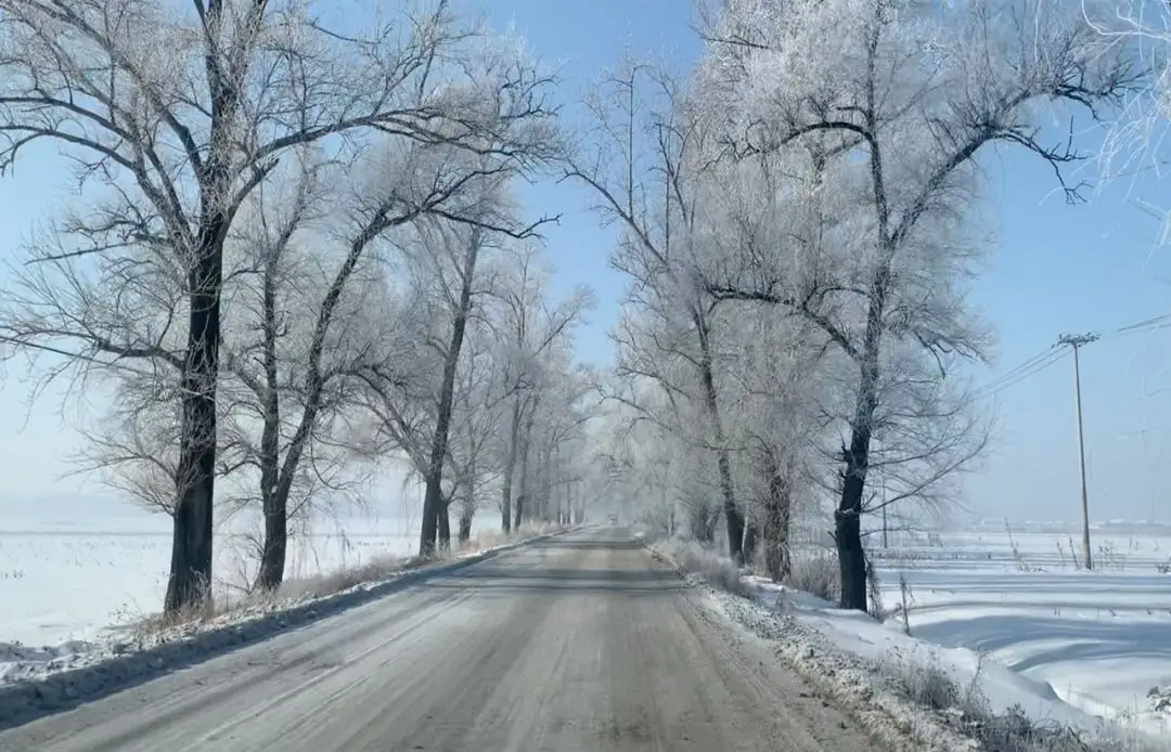 酸菜天花板!当餐优选味道正、有机、安全、健康!
