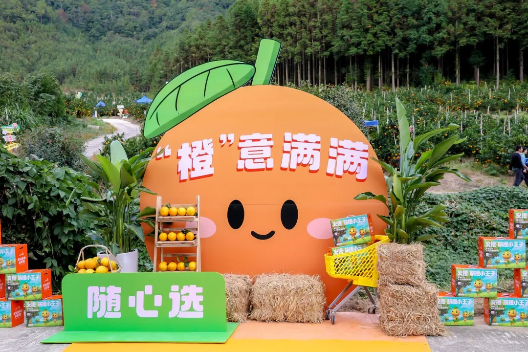 赣州市绿色食品产业链招商推介会在安远召开