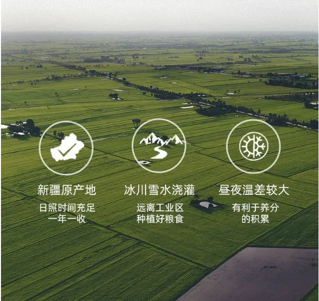 当餐美食新疆坚果蜂蜜面包棒,浓郁的麦香混合着坚果的香