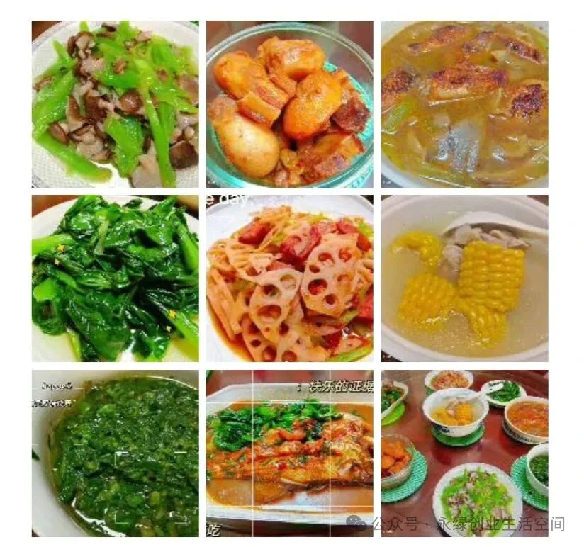 当餐以锅为媒,解锁健康美食新境界