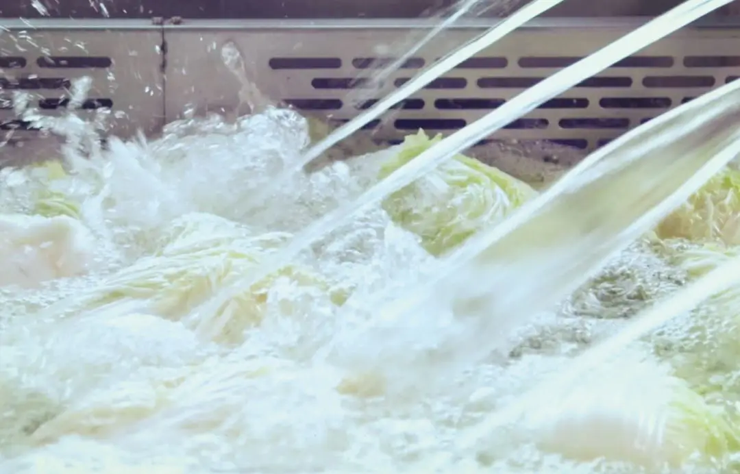 酸菜天花板!当餐优选味道正、有机、安全、健康!