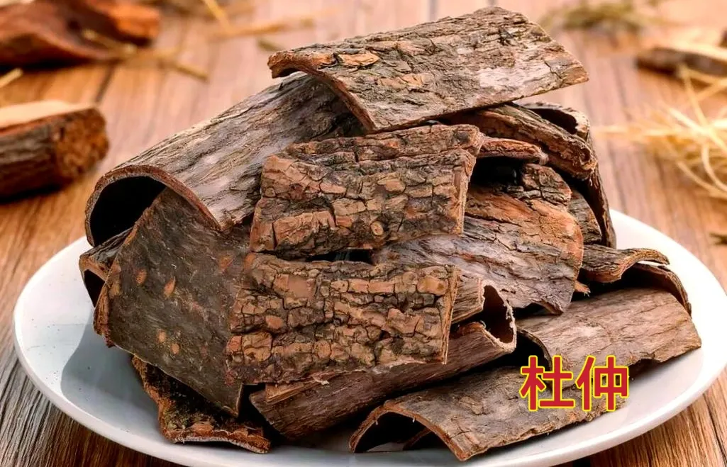 汝阳山珍，仙药杜仲