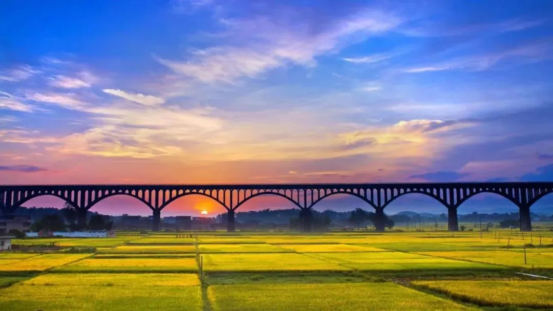 云浮特色美食打卡攻略!当餐宝藏“逛吃路线”来了