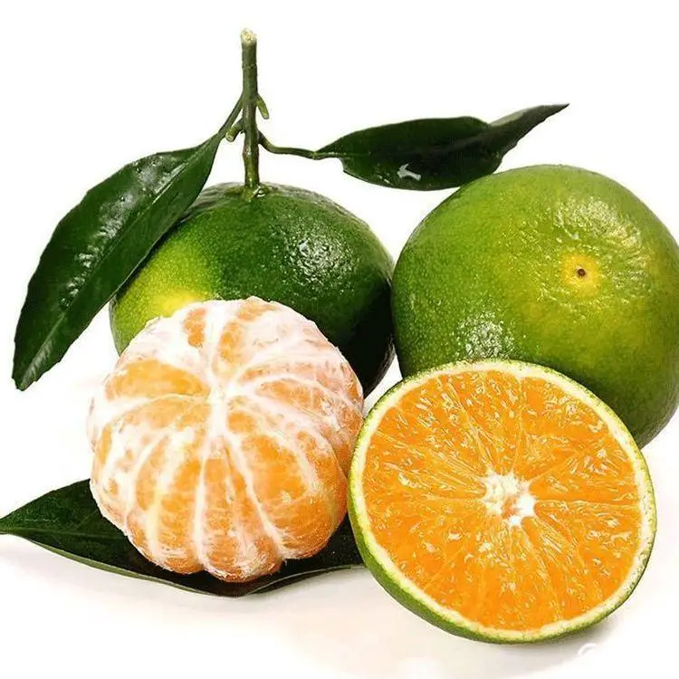 禧来邻超市11月24日特惠商品限时折扣