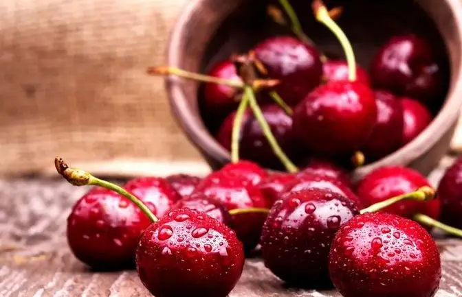 有机农业发展模式与趋势分析