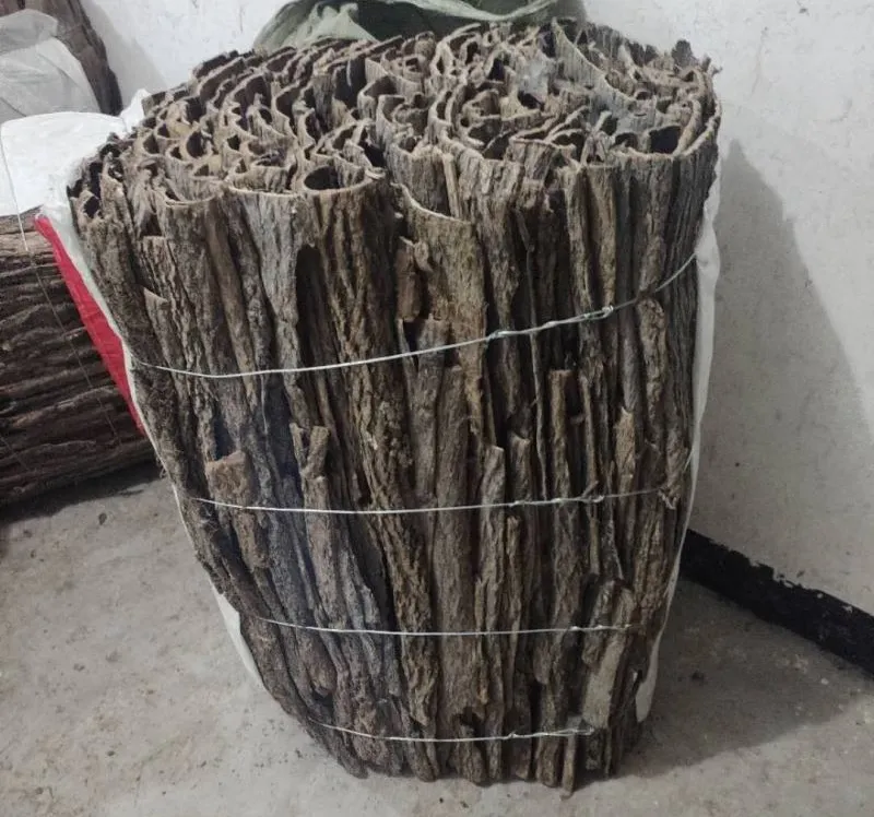 汝阳山珍,仙药杜仲