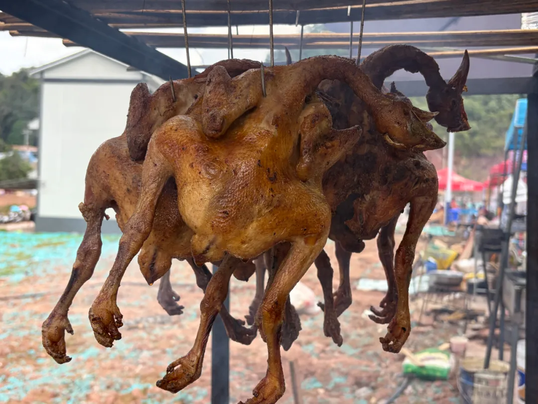 嗨玩周末！江城“富博冲周末烧烤节”：露天电影+篝火晚会+全域美食，就等你来！