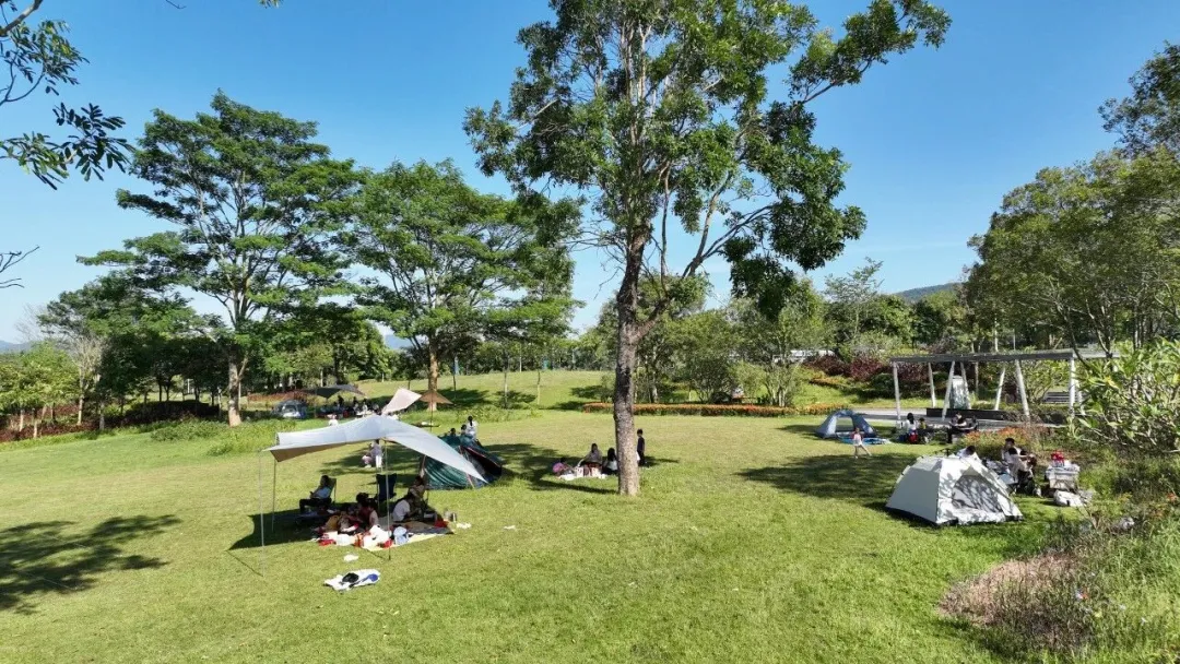 云浮特色美食打卡攻略!当餐宝藏“逛吃路线”来了