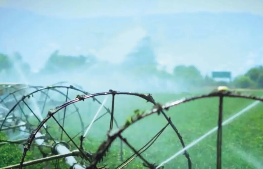 酸菜天花板!当餐优选味道正、有机、安全、健康!