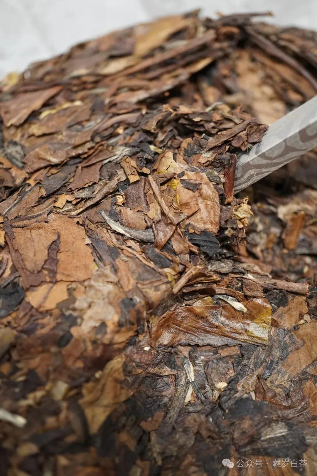 茶叶新品推荐【十一年陈化,木韵蜜章】