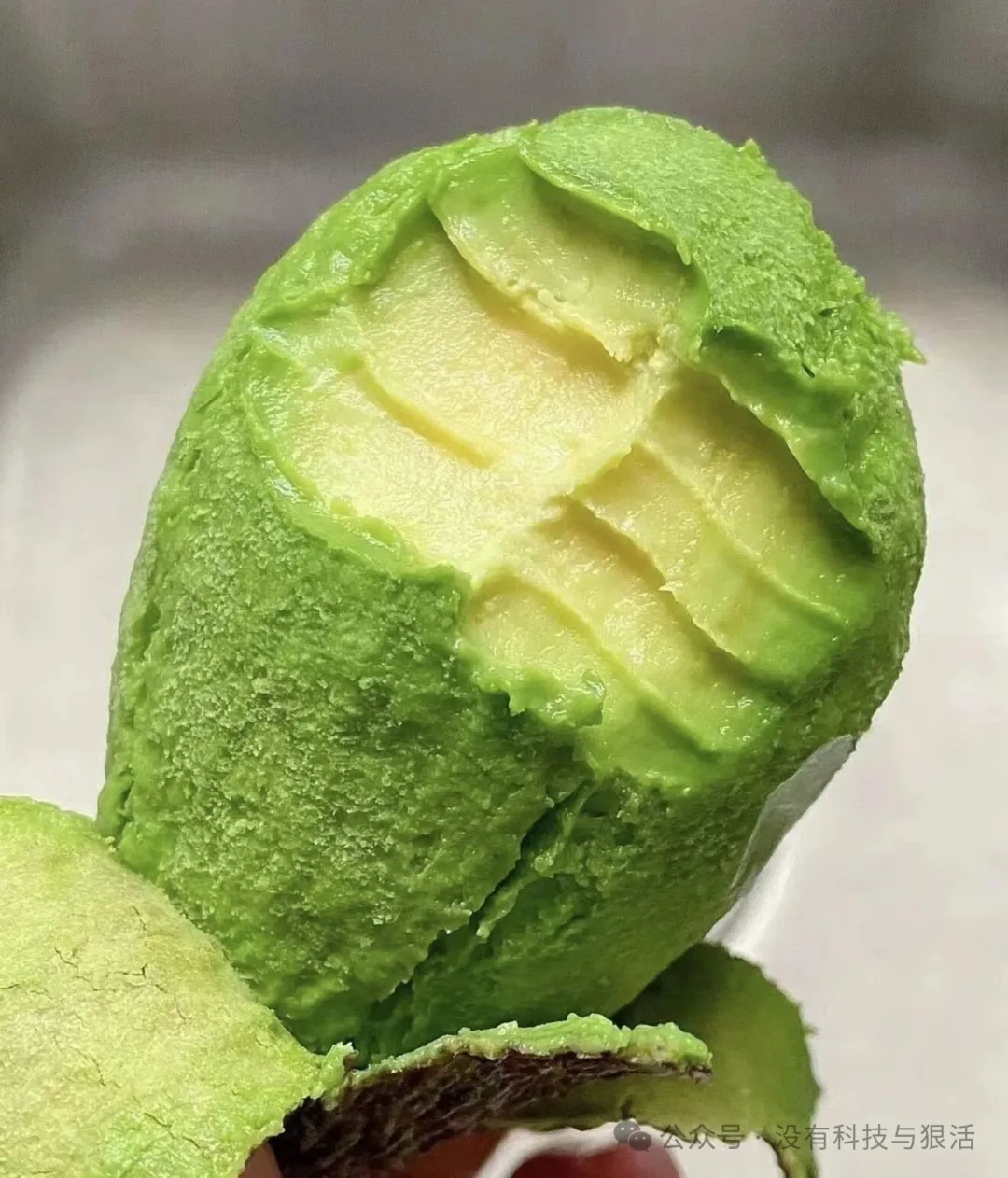 来自北纬24度的“有机绿金”云南哈斯牛油果