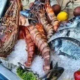 宏达国盛食品综合批发配送中心火爆招商中