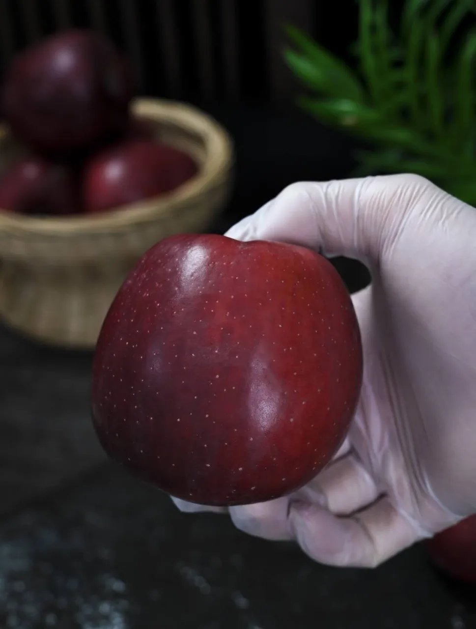 昭通黑卡苹果,香甜爽脆,满口都是醇厚香甜的苹果香气