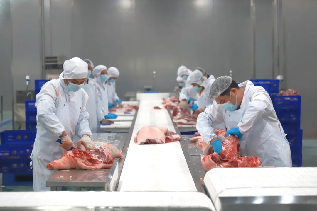 规划建设特色美食街区！增城打造现代化肉品产业新标杆！