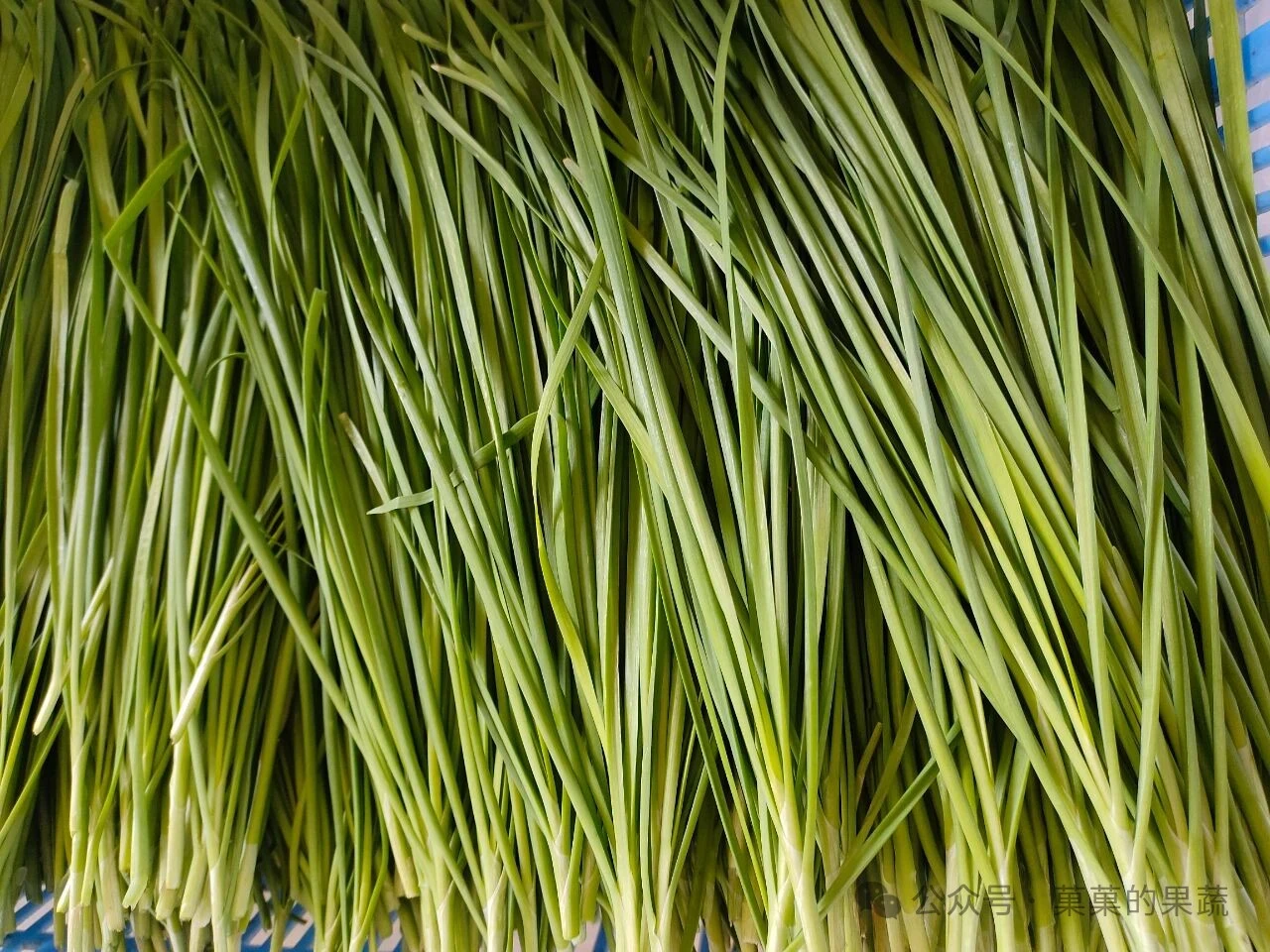 有机农场本周批发菜单