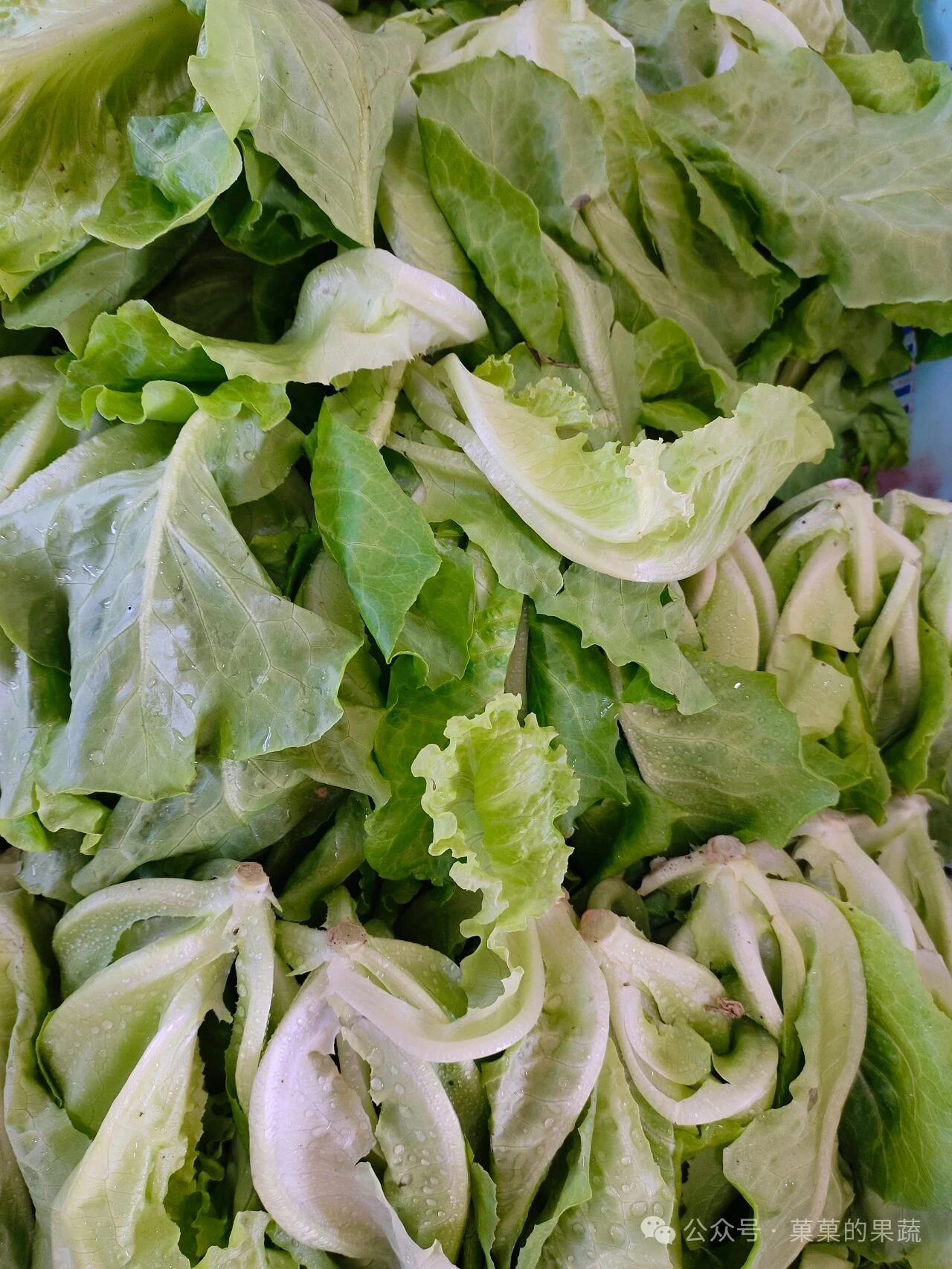 有机农场本周批发菜单