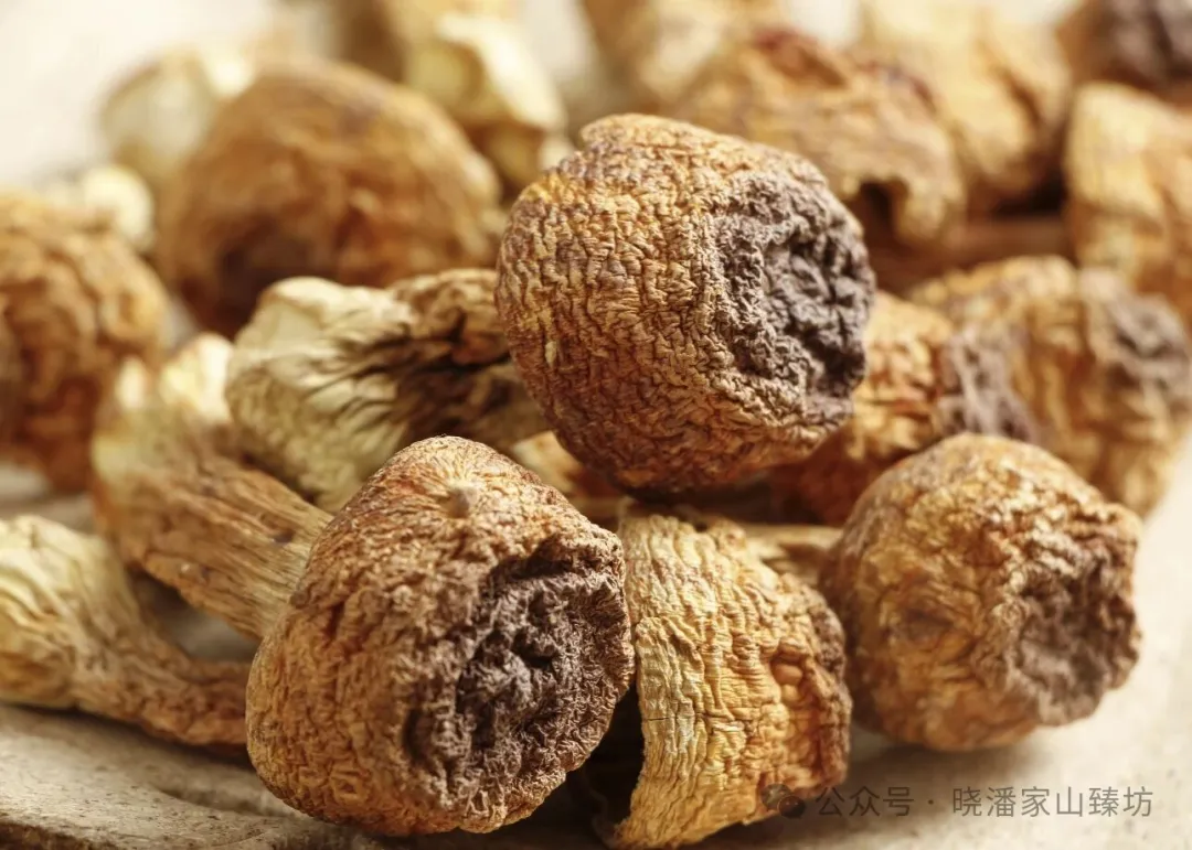 当餐山珍荟萃,甄选好礼!这一盒,装满了自然的元气与馈赠