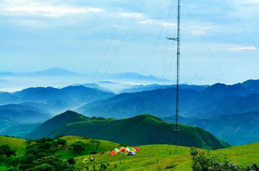 云浮特色美食打卡攻略!当餐宝藏“逛吃路线”来了